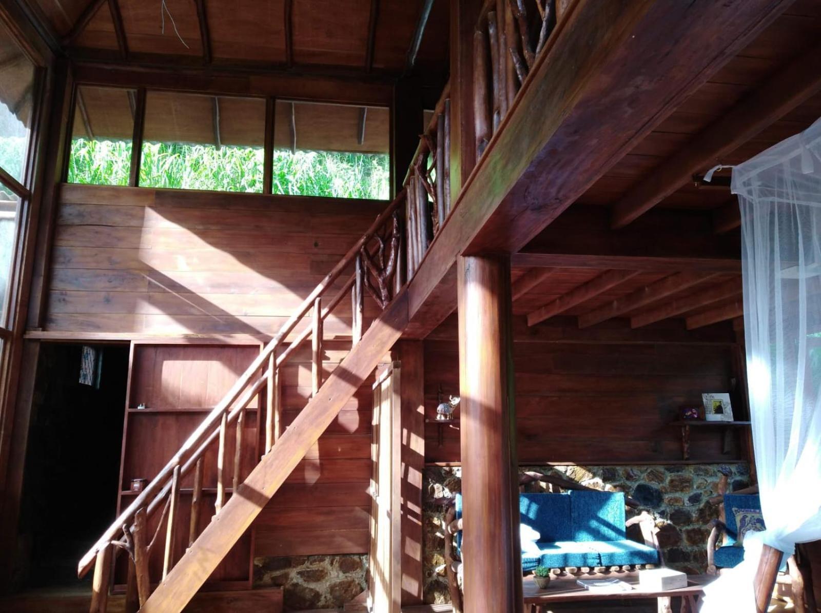 Ella Treehouse Hotel Ngoại thất bức ảnh