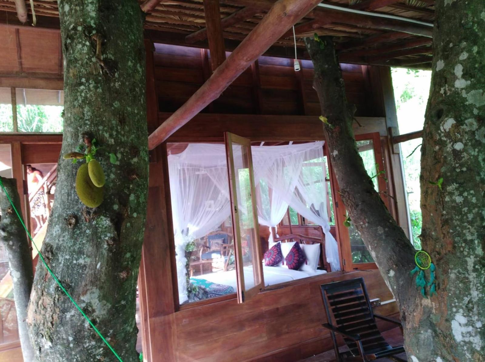 Ella Treehouse Hotel Ngoại thất bức ảnh